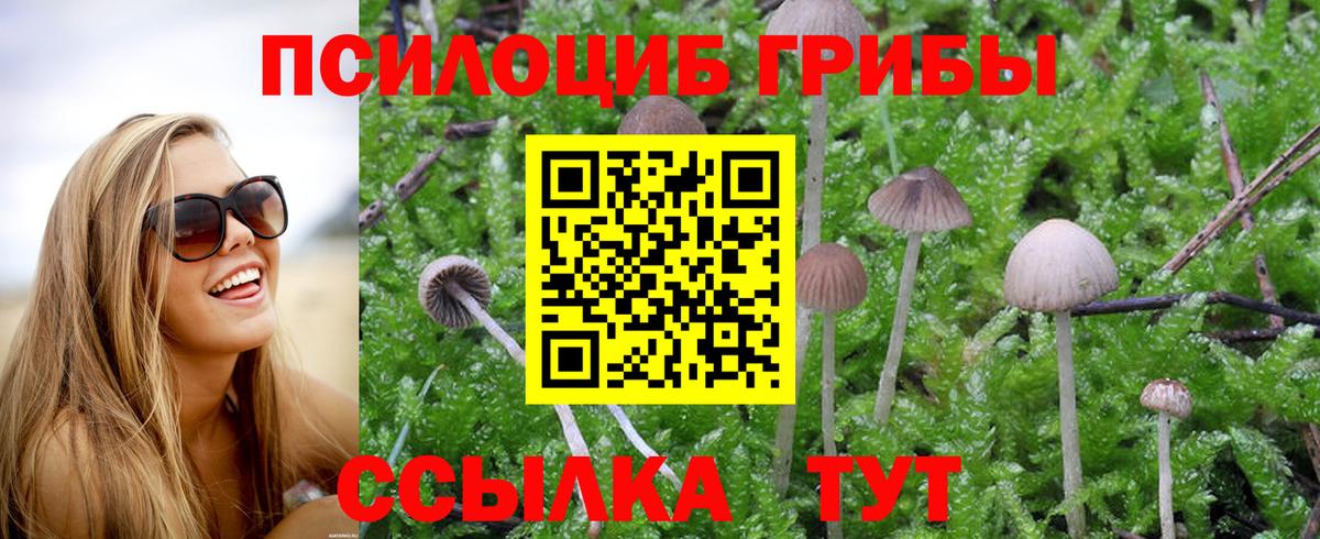 Галлюциногенные грибы ЛСД  Вход с VPN  Псилоцибиновые грибы MAGIC MUSHROOMS  Канаш 