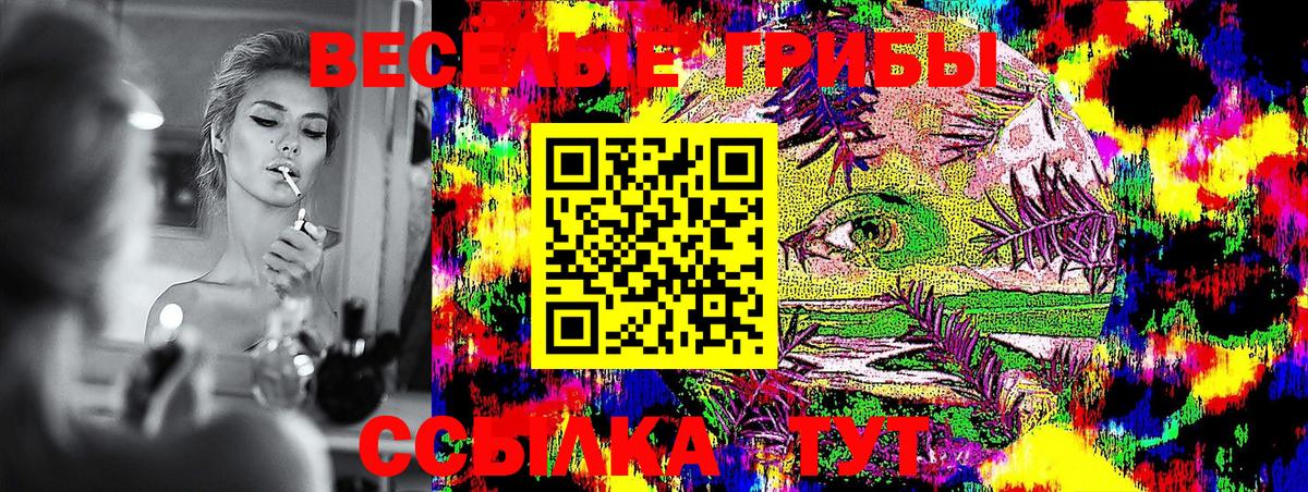Псилоцибиновые грибы мицелий Канаш
